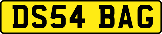 DS54BAG