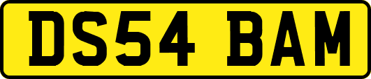 DS54BAM