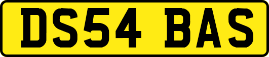 DS54BAS