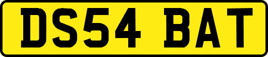 DS54BAT