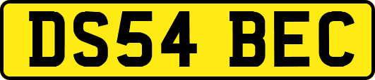 DS54BEC