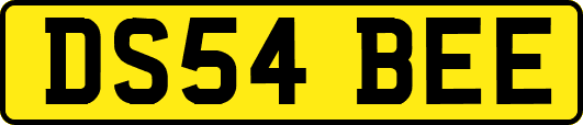 DS54BEE