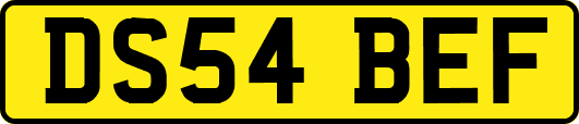 DS54BEF