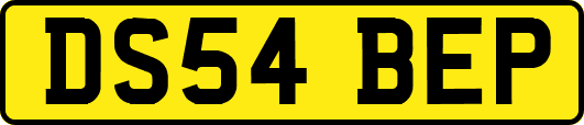 DS54BEP