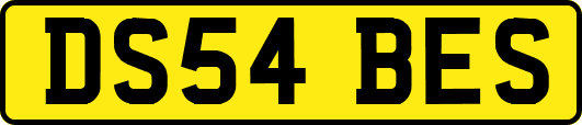 DS54BES
