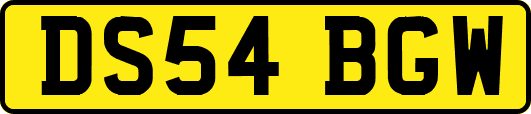 DS54BGW