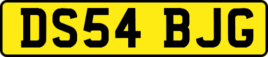 DS54BJG