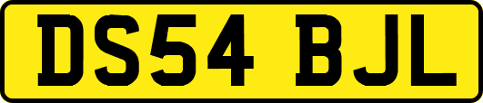 DS54BJL