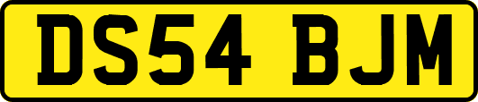 DS54BJM