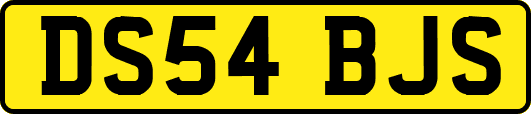 DS54BJS