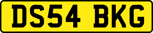 DS54BKG