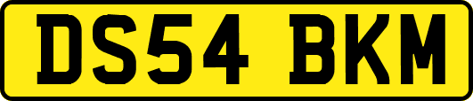DS54BKM