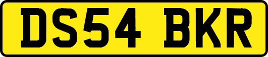 DS54BKR