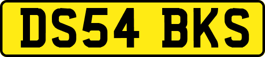 DS54BKS