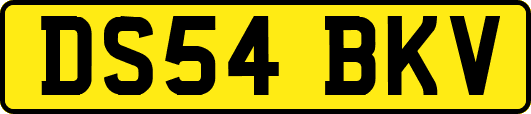 DS54BKV