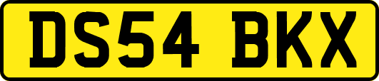 DS54BKX
