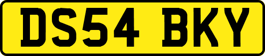 DS54BKY