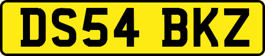 DS54BKZ