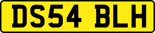 DS54BLH