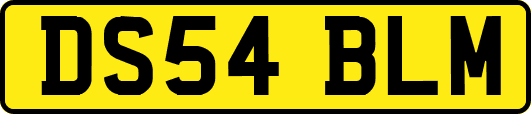 DS54BLM
