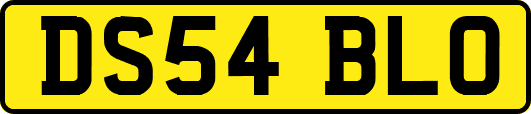 DS54BLO