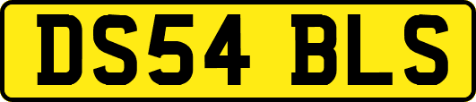 DS54BLS