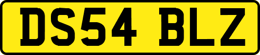 DS54BLZ