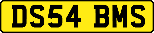 DS54BMS