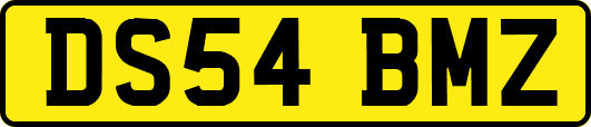 DS54BMZ
