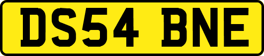 DS54BNE