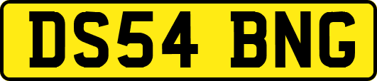 DS54BNG