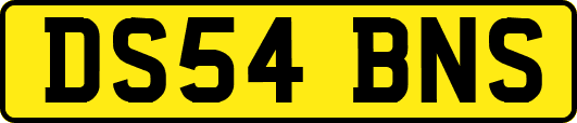 DS54BNS