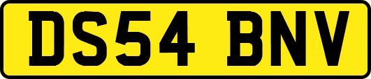 DS54BNV