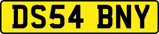 DS54BNY