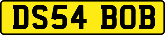 DS54BOB