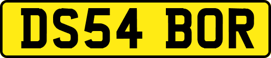 DS54BOR