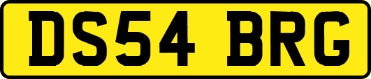 DS54BRG
