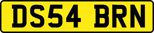 DS54BRN
