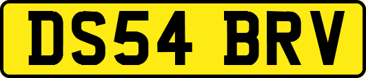 DS54BRV