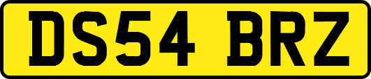 DS54BRZ