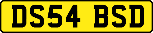 DS54BSD