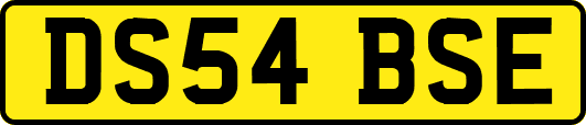 DS54BSE