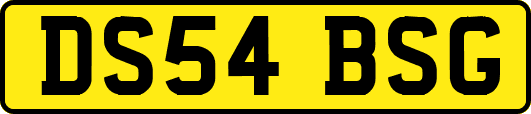 DS54BSG