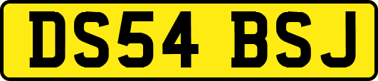 DS54BSJ