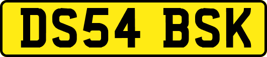 DS54BSK