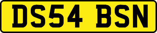 DS54BSN