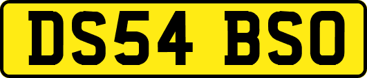 DS54BSO