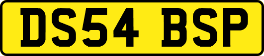 DS54BSP