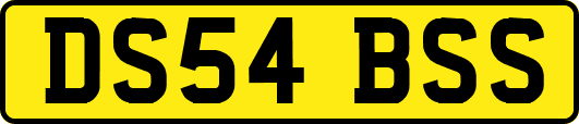 DS54BSS