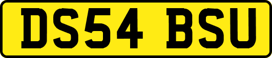 DS54BSU